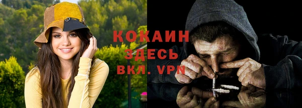 ПСИЛОЦИБИНОВЫЕ ГРИБЫ Белоозёрский