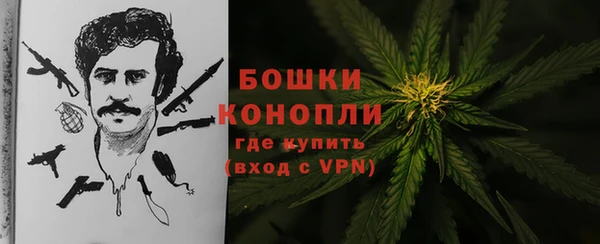 ПСИЛОЦИБИНОВЫЕ ГРИБЫ Белоозёрский