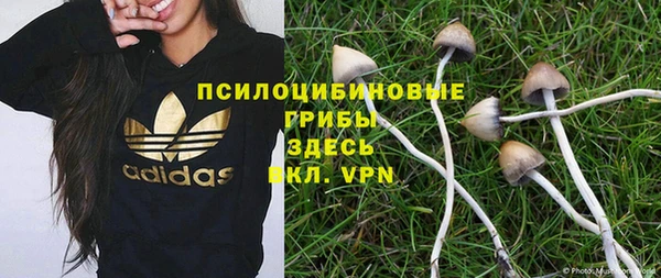 меф Белокуриха