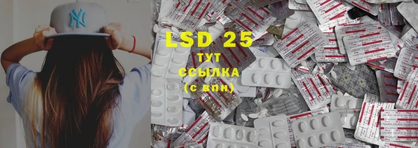 ПСИЛОЦИБИНОВЫЕ ГРИБЫ Белоозёрский