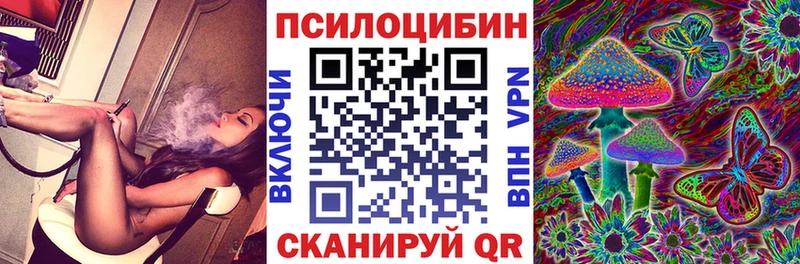 Галлюциногенные грибы Psilocybe  darknet официальный сайт  Светогорск 